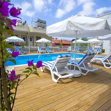 Kelebek * Kalkan